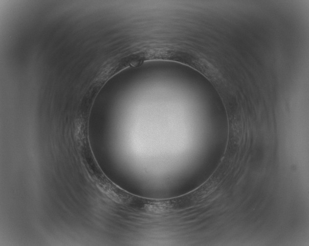X0000054360079200508011231