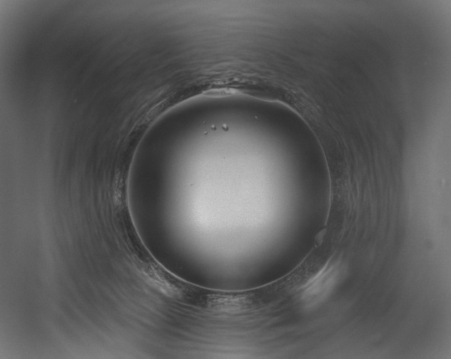 X0000054360081200508011232