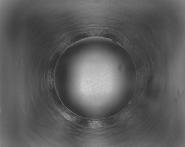 X0000054360091200508011232