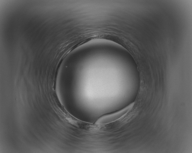 X0000054360096200508011232