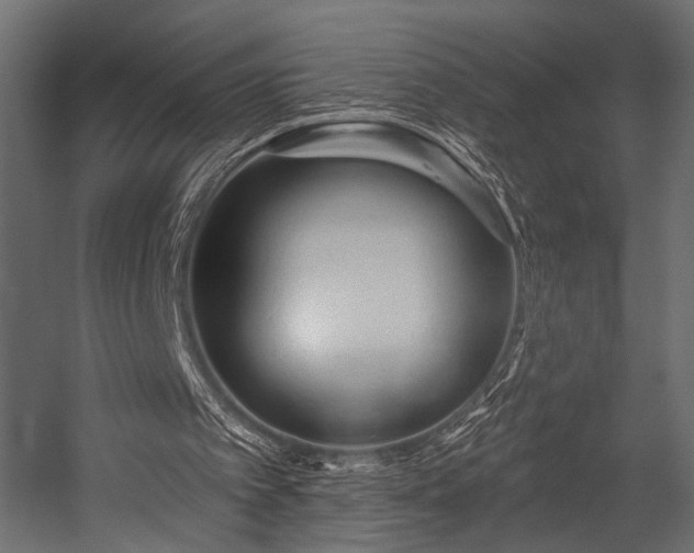 X0000054360097200508011231