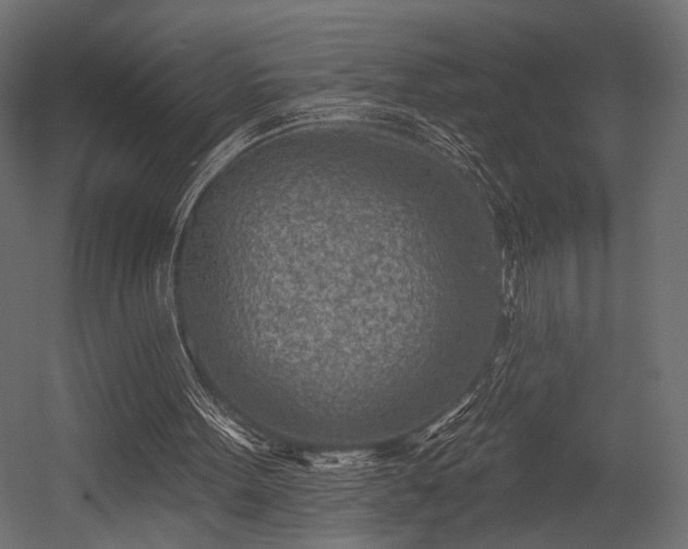 X0000054360099200508011231