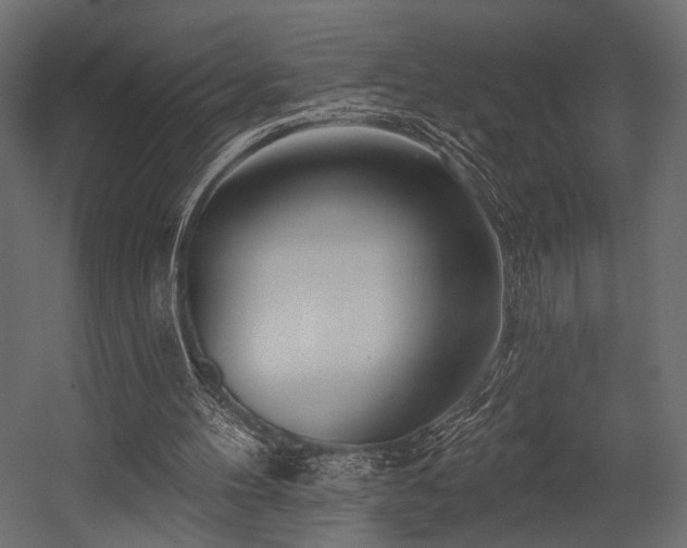 X0000054360100200508011231