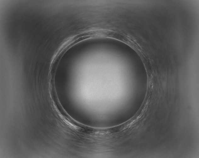 X0000054360101200508011231