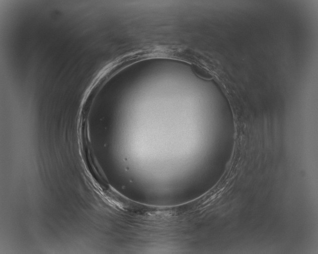 X0000054360102200508011231