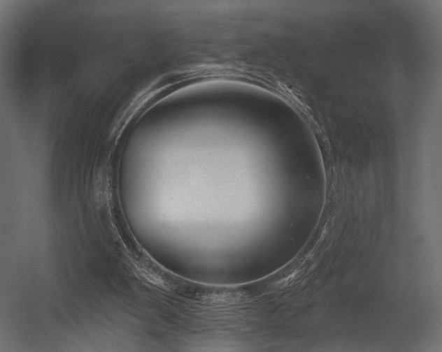 X0000054360103200508011231