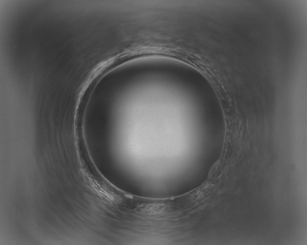 X0000054360104200508011231