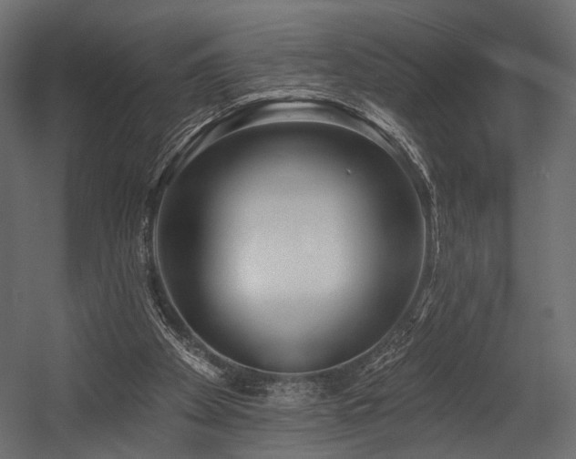 X0000054360105200508011231