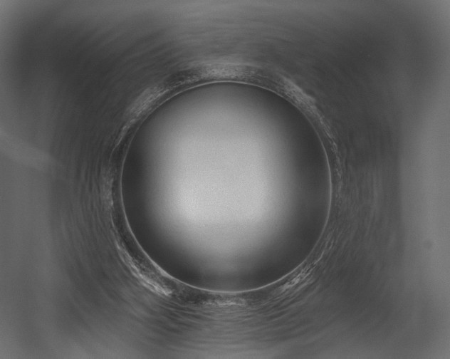 X0000054360106200508011231