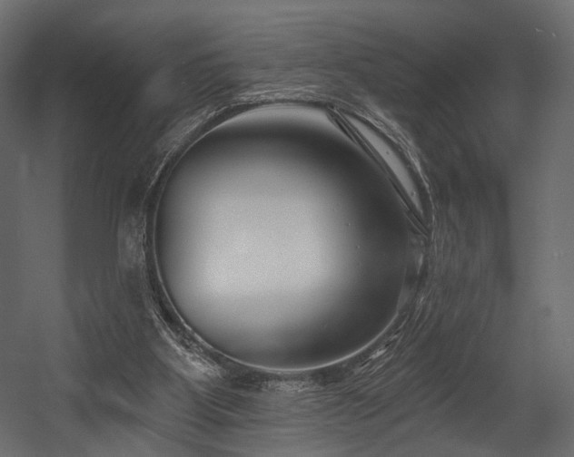 X0000054360107200508011231