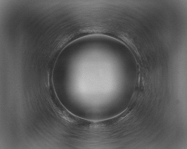 X0000054360109200508011231
