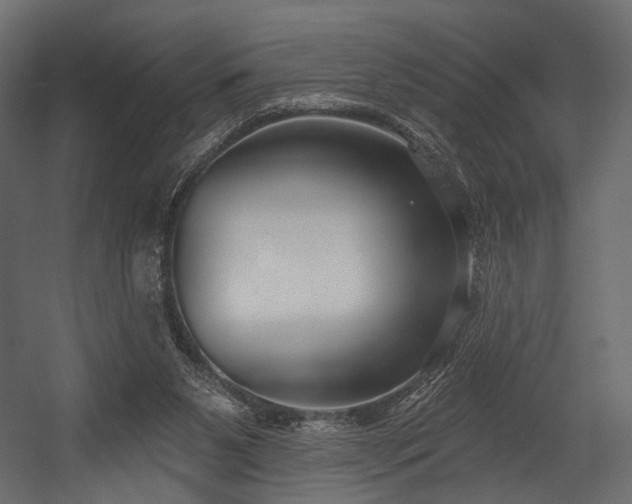 X0000054360111200508011231