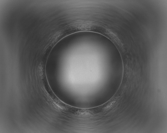 X0000054360113200508011231