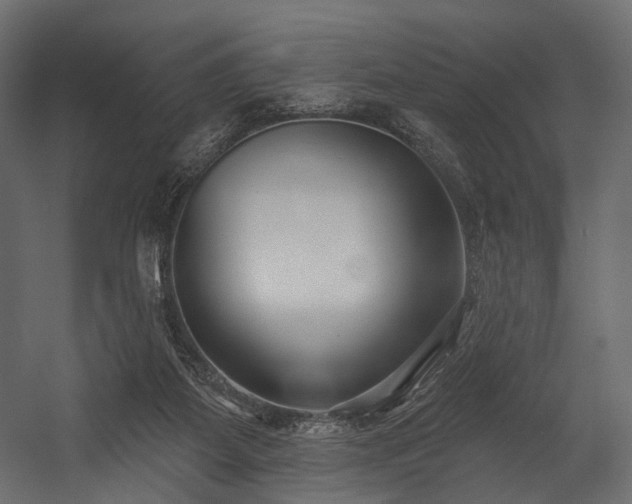 X0000054360115200508011231