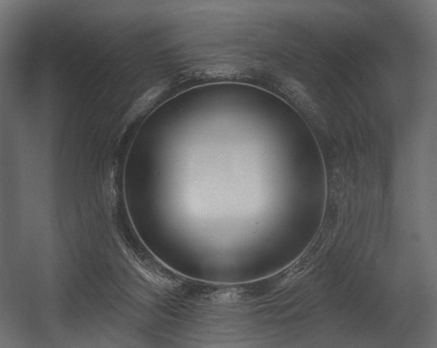 X0000054360116200508011231