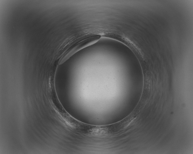 X0000054360117200508011231