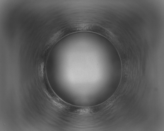 X0000054360118200508011231