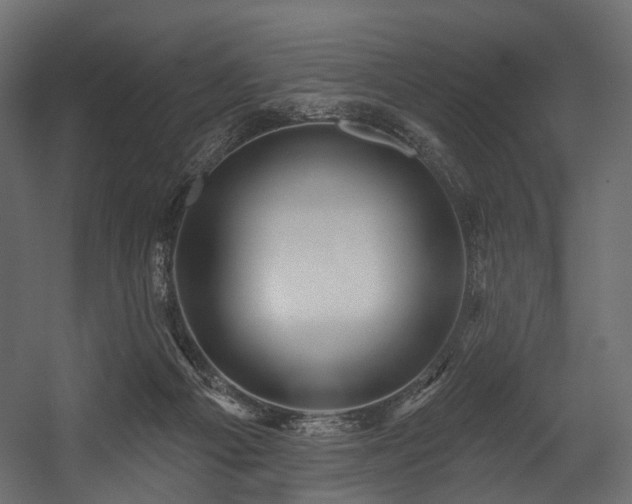 X0000054360121200508011231