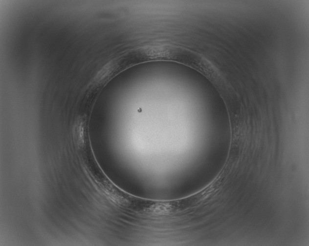 X0000054360124200508011230