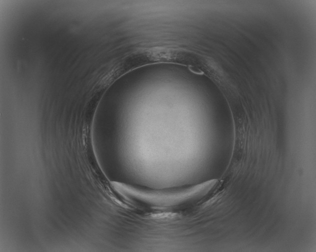 X0000054360125200508011230