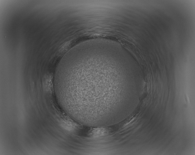 X0000054360127200508011230