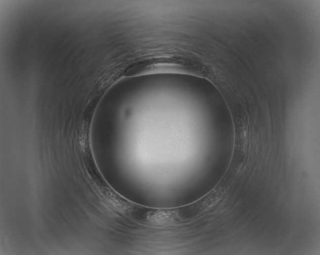 X0000054360129200508011230