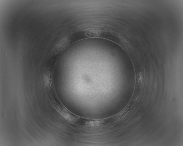 X0000054360134200508011230