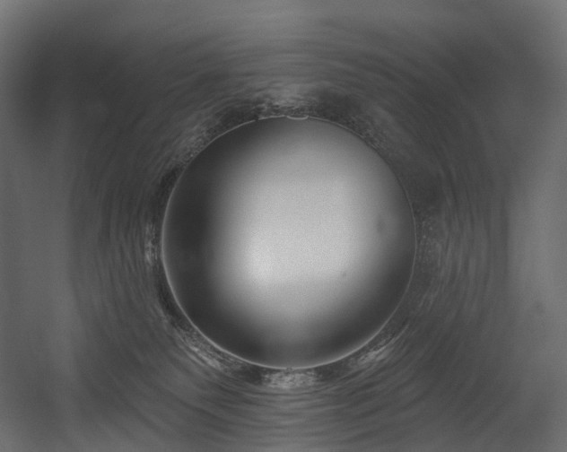 X0000054360135200508011230
