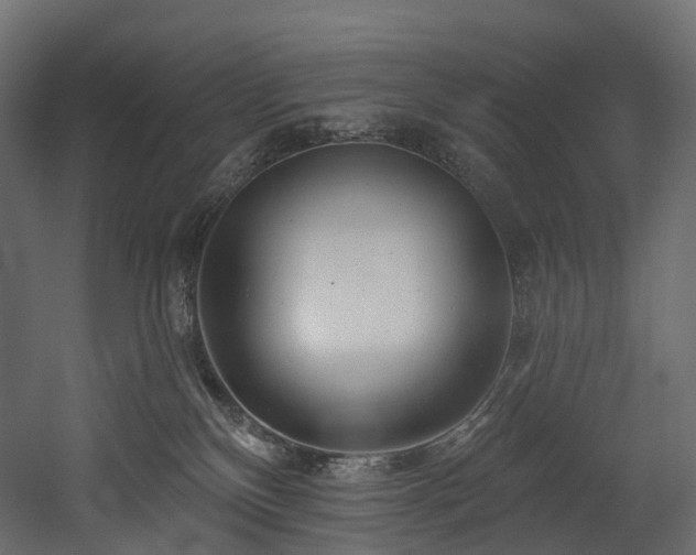 X0000054360136200508011230