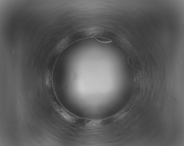 X0000054360138200508011230