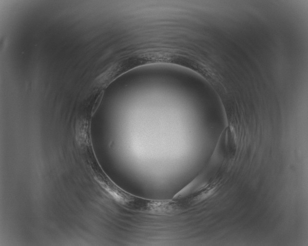 X0000054360141200508011230
