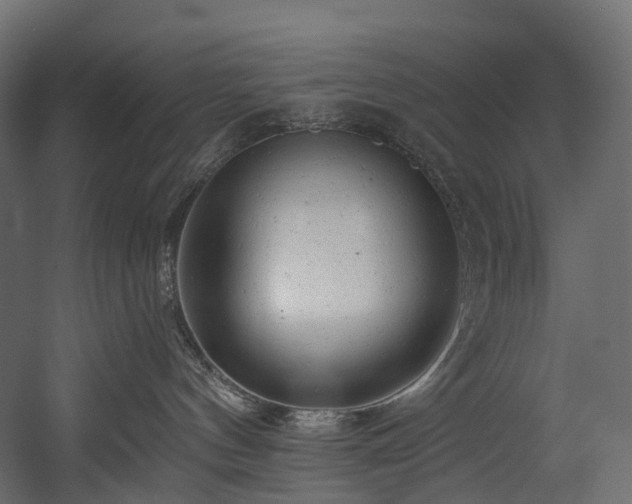 X0000054360144200508011230