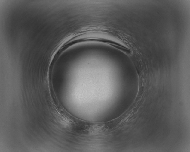X0000054360148200508011229