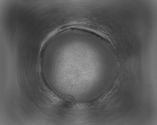 X0000054360149200508011229
