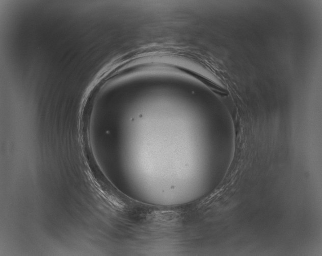 X0000054360150200508011229