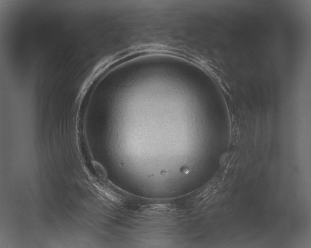 X0000054360151200508011229