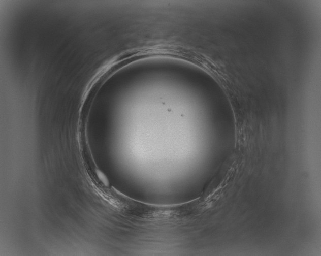X0000054360152200508011229