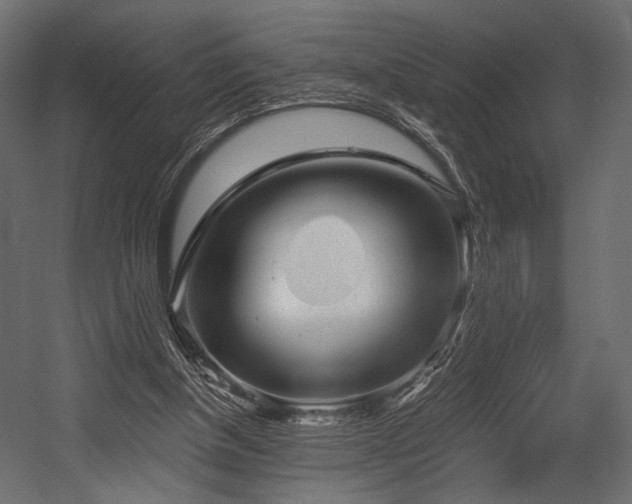 X0000054360154200508011229