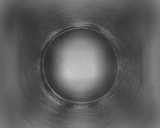 X0000054360155200508011229
