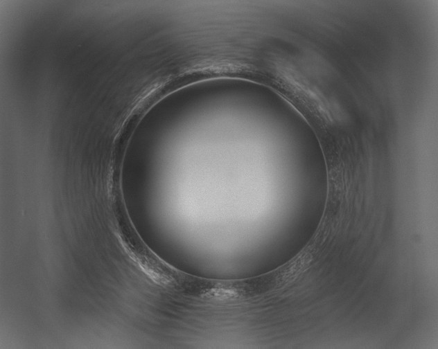 X0000054360159200508011230