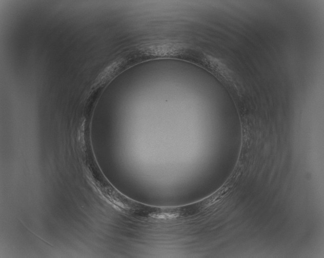 X0000054360163200508011230