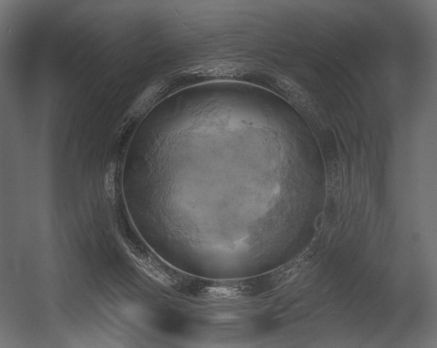 X0000054360167200508011230