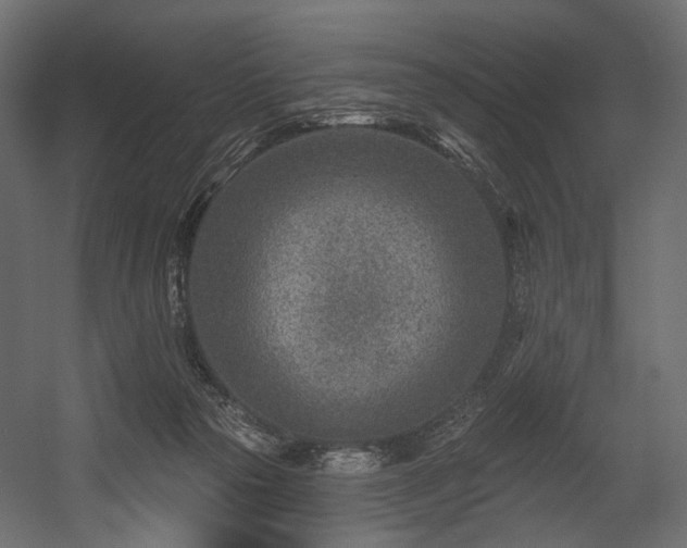 X0000054360169200508011230