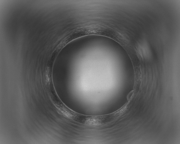 X0000054360174200508011230