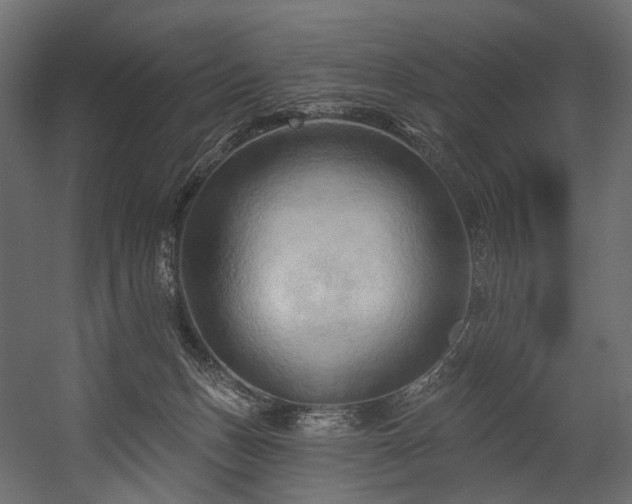 X0000054360175200508011230
