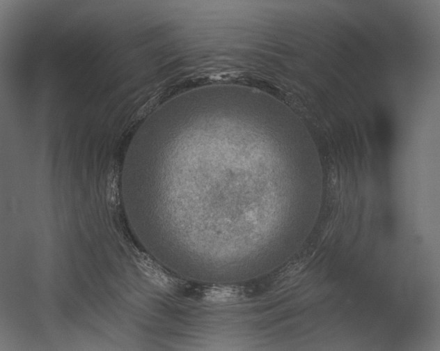X0000054360177200508011230
