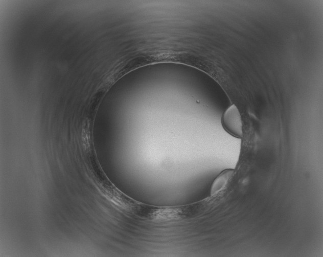 X0000054360179200508011230