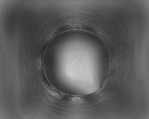 X0000054360183200508011230