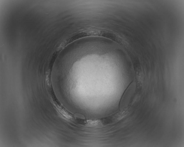 X0000054360185200508011230