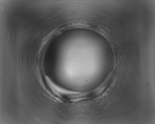 X0000054360193200508011229